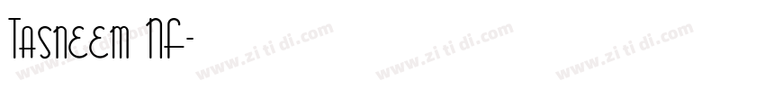 Tasneem NF字体转换